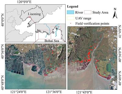 Classification and spatio-temporal evolution analysis of coastal wetlands in the Liaohe Estuary from 1985 to 2023: based on feature selection and sample migration methods